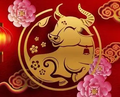 牛年有哪些春节祝福语，传递温暖与祝福