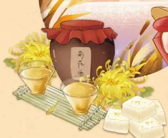菊酒：长寿的象征与秘密
