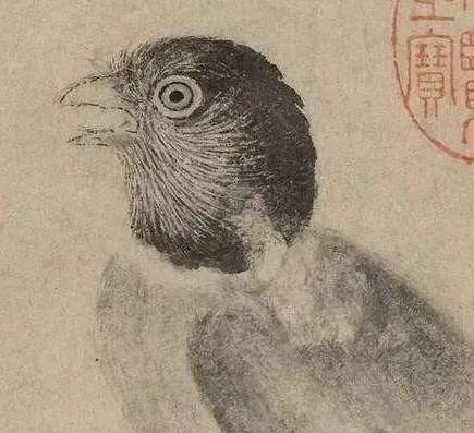 揭秘写生珍禽图：一位画家的艺术瑰宝
