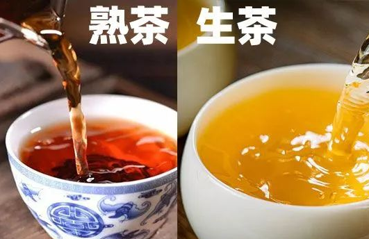 探秘普洱茶：生茶与熟茶的区别及优劣比较