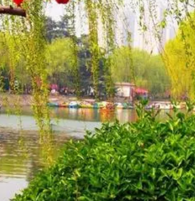揭秘“东风好阳，草花相迎”的深层含义