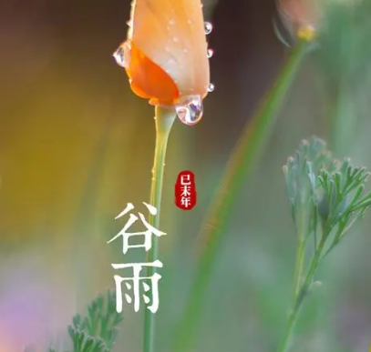 谷雨节气美食传统习俗，相关美食有哪些？