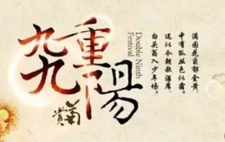 重阳节的多元活动，传承文化，弘扬孝道