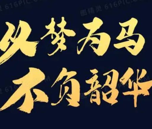 以梦为马不负韶华：理解与读法