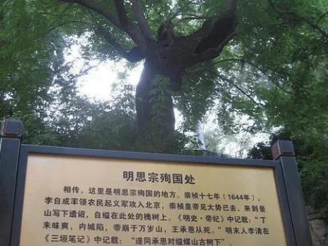 崇祯皇帝的宿命之树：从明朝落幕到现代的转变