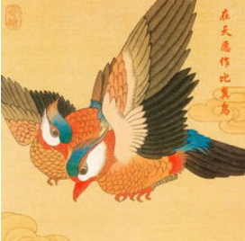 比翼鸟与连理枝：一段跨越千年的爱情故事