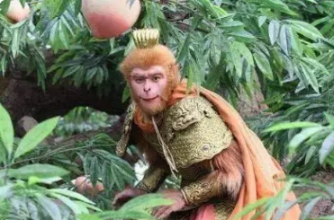 玉帝的智谋：派孙悟空看管蟠桃园是什么目的？