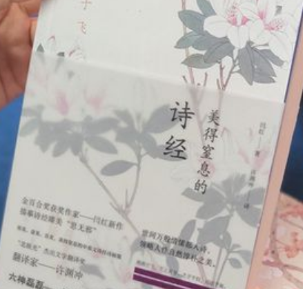 揭秘诗文燕燕背后的故事，在什么背景下创作的？