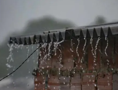 谷雨时节是什么时候？有哪些养生之道?