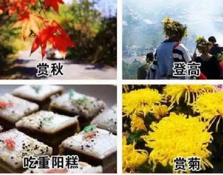 重阳节：古时候的风俗与文化