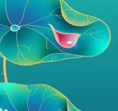 立夏时节，感受自然的韵律
