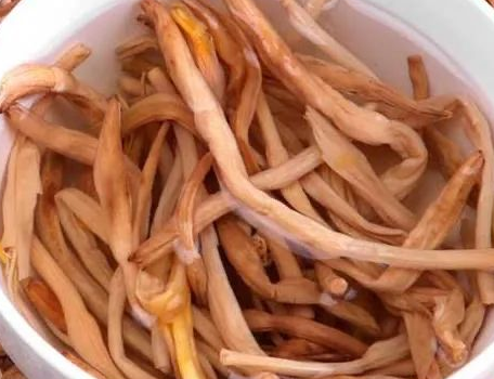 揭秘俗语“等得黄花菜都凉了”的由来