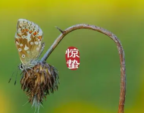 惊蛰是什么意思？惊蛰节气反映了什么？