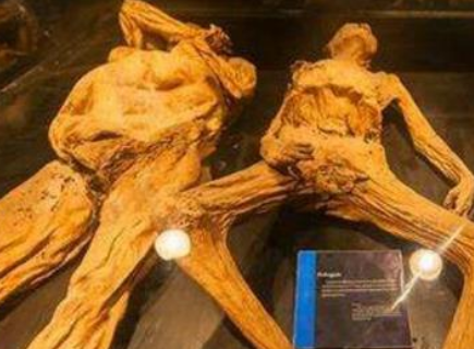 类人怪物般的突骨是什么样的？是真的存在吗?