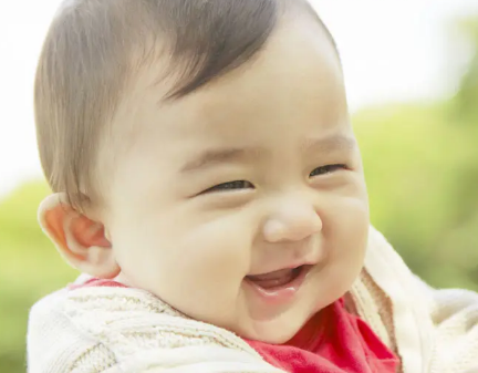一个小生命的短评——一个小生命讲的是什么？
