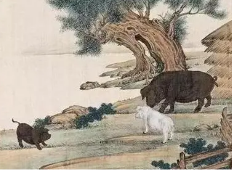 中国古代从什么时候开始吃猪肉的？揭秘中国吃猪肉的历史