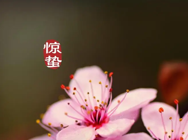 有哪些关于惊蛰节气的古诗词？描绘了怎样的场景？