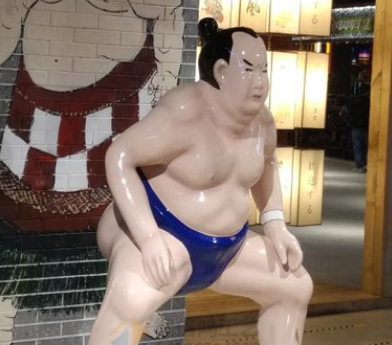 相扑：日本国粹的荣耀与传承