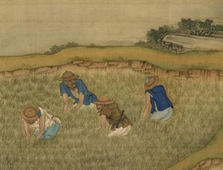 古代种地：一种与自然共舞的生活体验