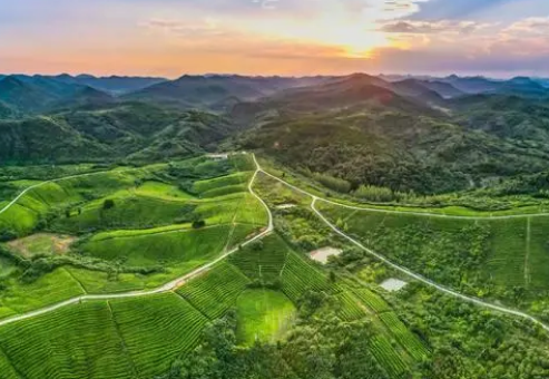 寻找不和谐的京山：揭秘城市的矛盾与冲突