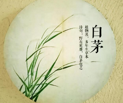 诗经中的白茅：古人情感的寄托