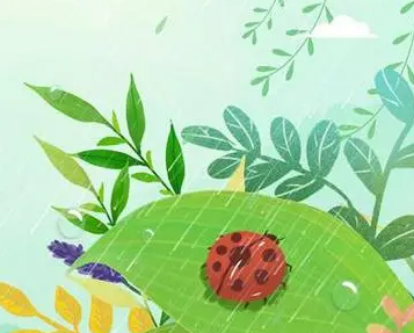 二十四节气创立时间：传承千年的中华智慧