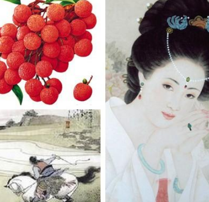 唐朝长安的杨贵妃与新鲜荔枝之谜，古人怎么保鲜的？