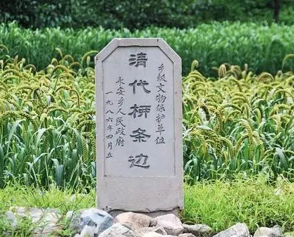 清朝柳条边：修建目的与历史评价