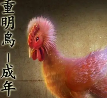 重明鸟：神秘的东方象征