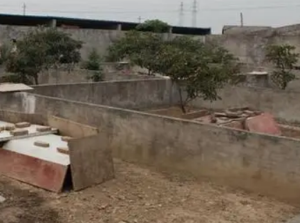 子思桥村是广西养蛇第一村吗？规模是什么样的？