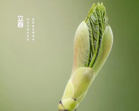 立春习俗：为何称为“打春”及其讲究
