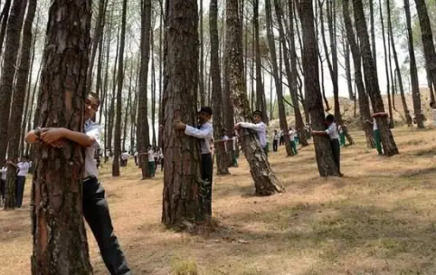 民间智慧的传承：解读“一人不入庙，二人不看井，三人不抱树”
