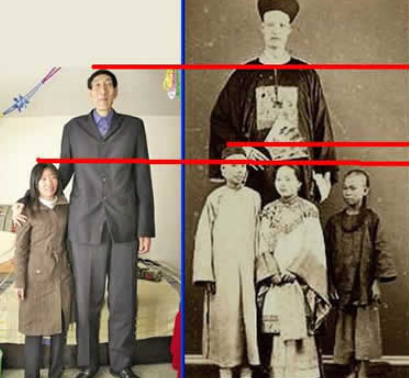 詹世钗的后代身高之谜与现状探索