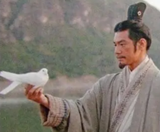 古代通信的艺术：飞鸽传书的训练之道