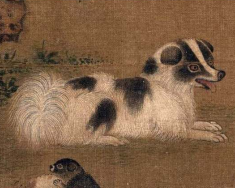 古代人的宠物情缘：从犬马到珍禽异兽