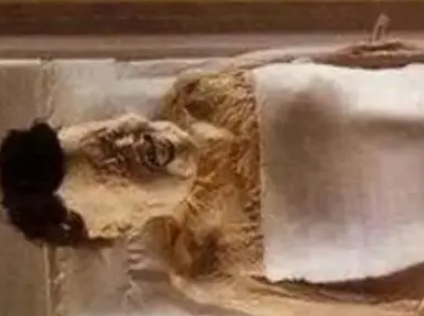 辛追舌头外吐的原因及意义，有什么特点存在？