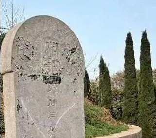 探秘龙墓：神秘动物的最后归宿