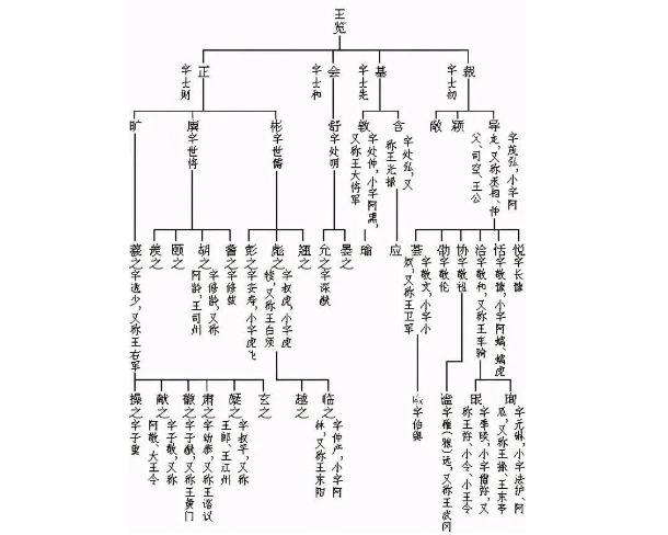 魏晋北朝琅琊王氏：家族文化的独特魅力