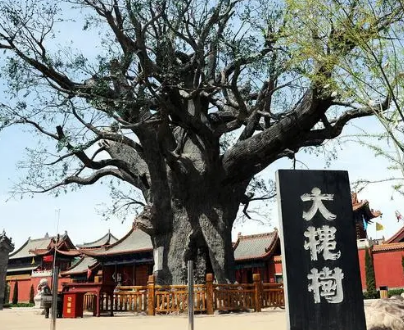 河南安阳方言探秘：为何与山西话有千丝万缕的联系?