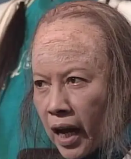 金庸武侠世界中的一击：黄蓉与裘千仞的恩怨