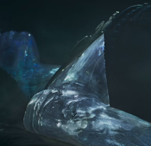 冰川水晶尸：神秘的古代遗骸