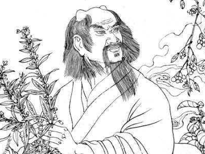 古人有哪些办法了解草药的药性？