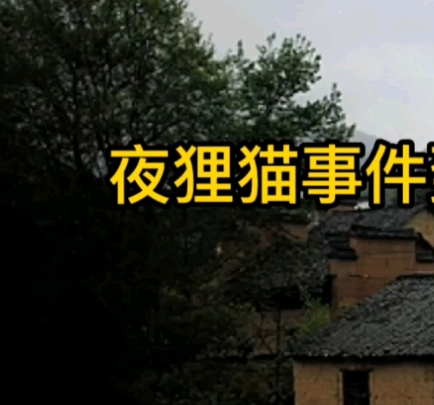 揭秘夜狸猫事件的真相，过程是什么样的？