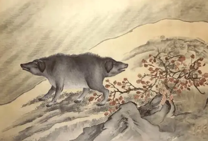 山海经中的神兽：人面兽与像猪的神兽