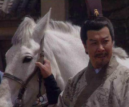 的卢马的主人是谁？是刘备吗？
