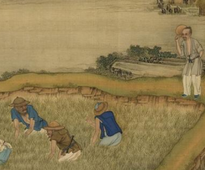 古代农耕与粮食储备，生产力到底是什么样的？