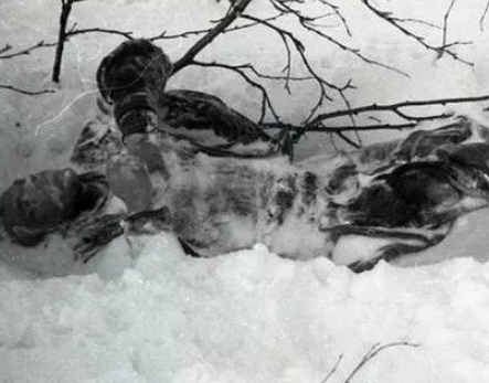 梅里雪山灵异事件：神秘与未知的交织
