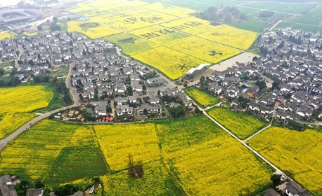 探索巴蜀：一段地域文化的旅程