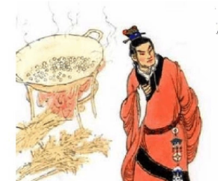 揭秘七步诗：曹植笔下的真相