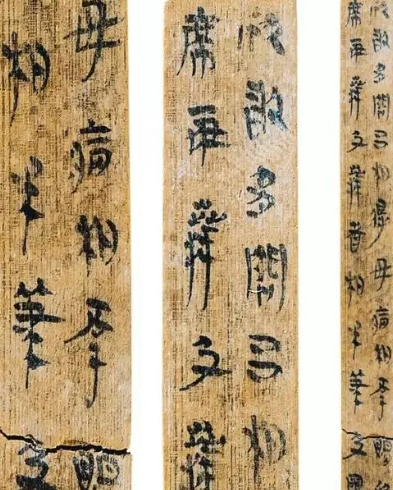 里耶秦简：揭示秦朝残酷统治的历史见证
